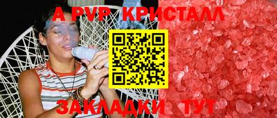 СК Новозыбков