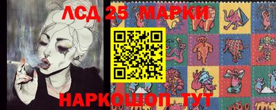 СК Новозыбков