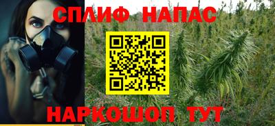 СК Новозыбков