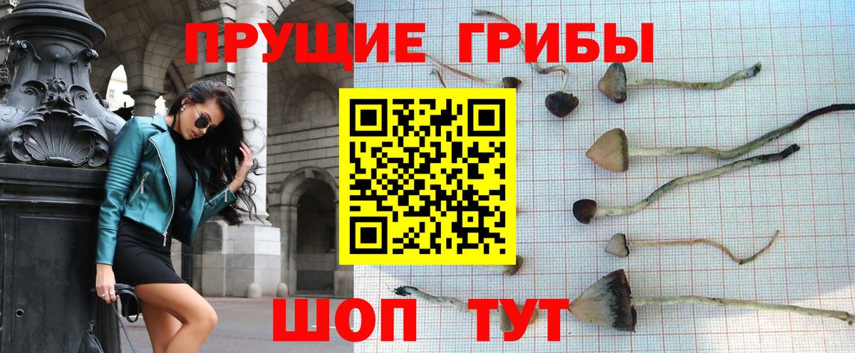 купить закладку  Вход с VPN  Галлюциногенные грибы Cubensis  Трёхгорный  Галлюциногенные грибы мухоморы 
